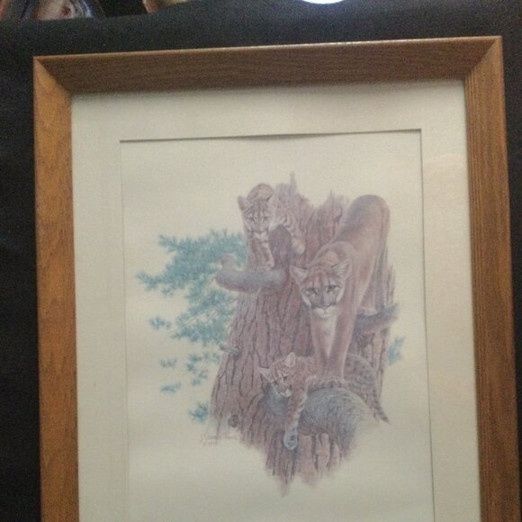 Vintage J Sharkey Thomas 1979 art print tiger and cubs in solid wooden frame - Picture 4 of 9